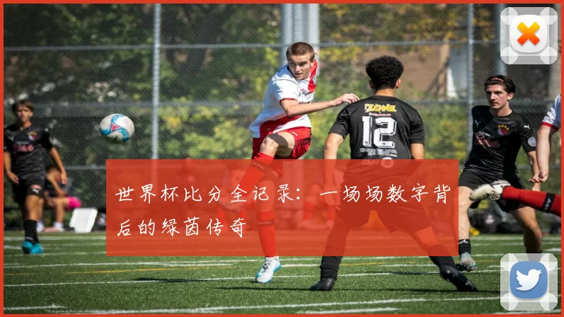 世界杯比分全记录：一场场数字背后的绿茵传奇