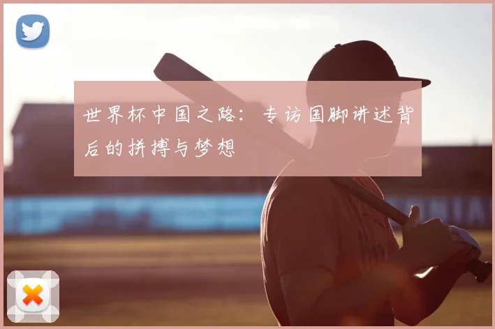 世界杯中国之路：专访国脚讲述背后的拼搏与梦想