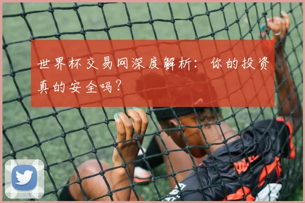 世界杯交易网深度解析:你的投资真的安全吗?