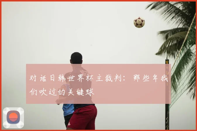 对话日韩世界杯主裁判:那些年我们吹过的关键球