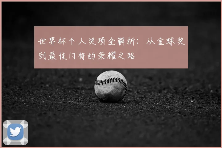 世界杯个人奖项全解析：从金球奖到最佳门将的荣耀之路