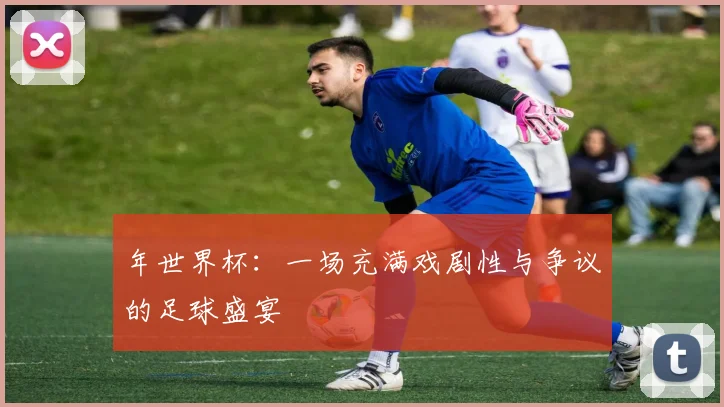 年世界杯：一场充满戏剧性与争议的足球盛宴