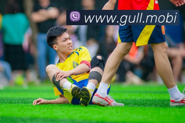 奇异果app官网入口平台生态图